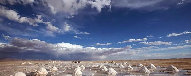 DLES 2026 Delegate Pass